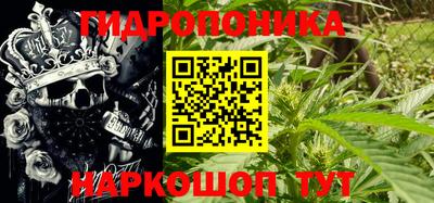 марихуана Кингисепп