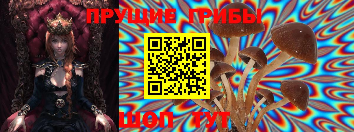 Галлюциногенные грибы мицелий Дятьково